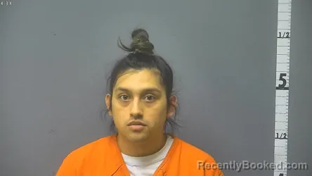 Mugshot of BRIAN ANTUNA-PERALTA