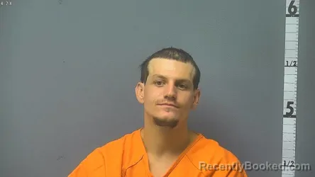 Mugshot of BRIAN MICHAEL WISEMAN booked in Rockingham County, Virginia on June 17, 2026