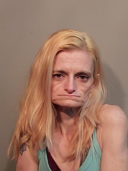 Mugshot of Carolyn Faye Gibson booked in Russell County, Virginia on May 25, 2026