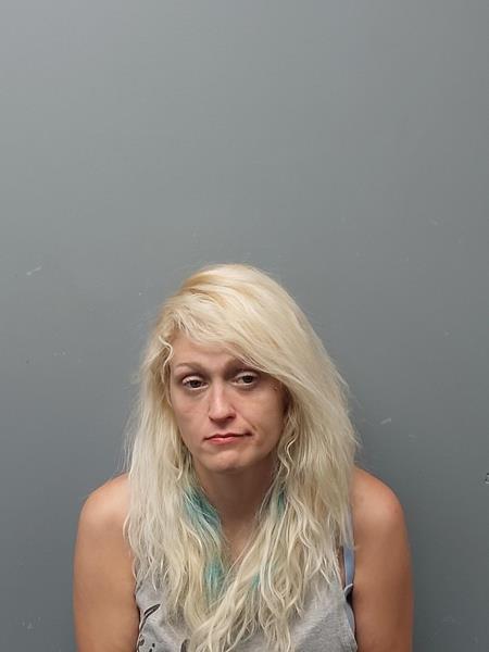 Mugshot of CYNTHIA Rose WHITMER booked in Russell County, Virginia on May 28, 2026