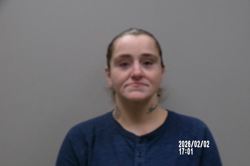 Mugshot of Natasha Gail Lamb
