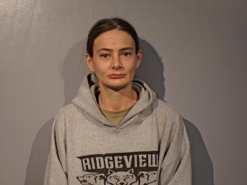 Mugshot of Natasha Sexton