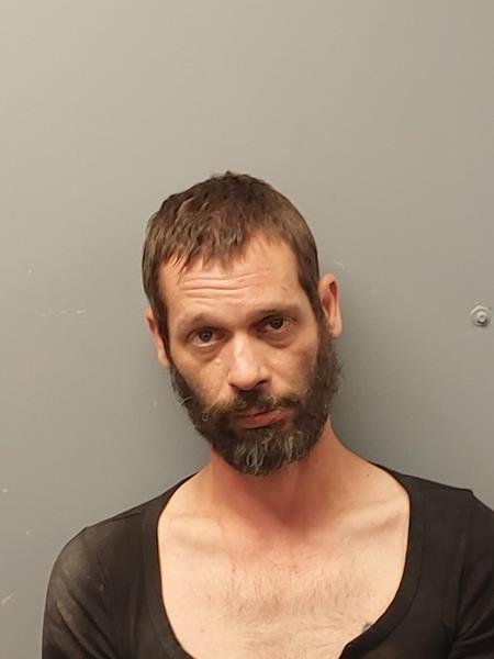 Mugshot of ROBERT L REEVES booked in Russell County, Virginia on April 19, 2026