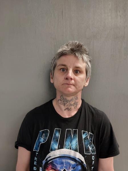 Mugshot of Sharon Kay Lipps booked in Russell County, Virginia on August 29, 2026