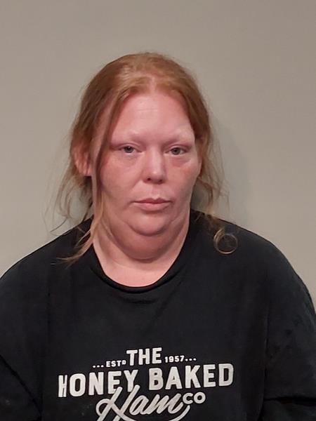 Mugshot of Tiffany Shipley booked in Russell County, Virginia on June 29, 2026