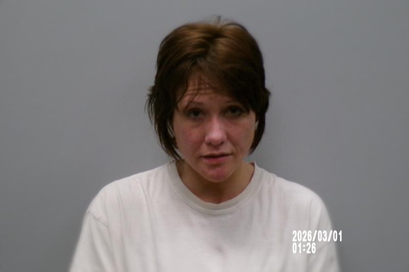 Mugshot of Amber Page Hale