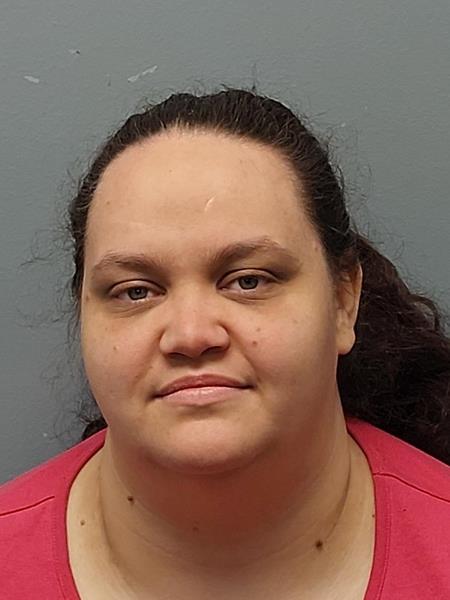 Booking photo from Scott County, Virginia