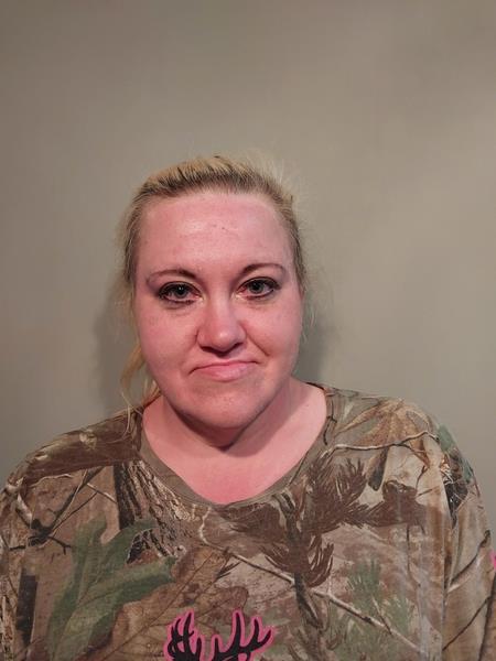 Mugshot of Brittany Lovejoy