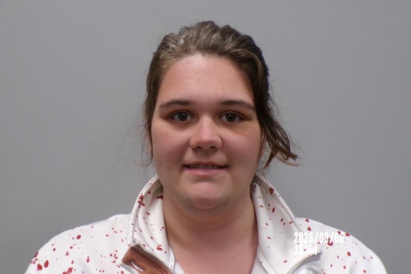 Mugshot of Cheyanne Taylor Lambert