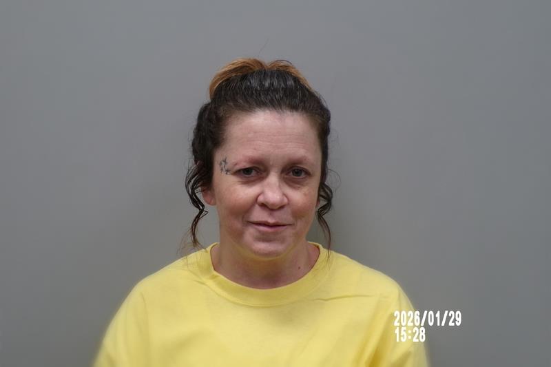 Mugshot of Christina M Murray