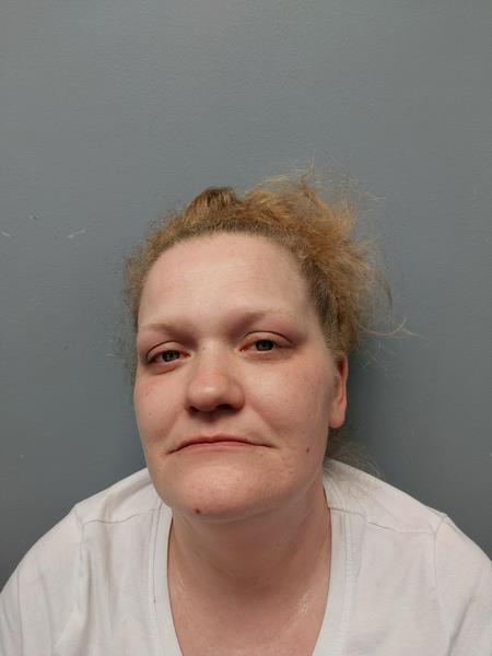 Mugshot of Christina MARIE Roark