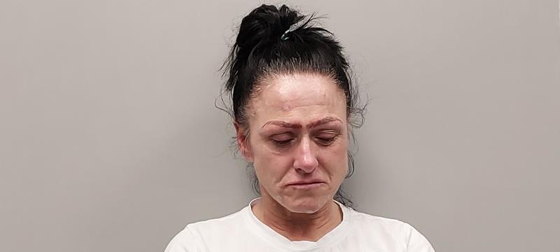 Mugshot of Crystal Michelle Snyder booked in Scott County, Virginia on April 23, 2026