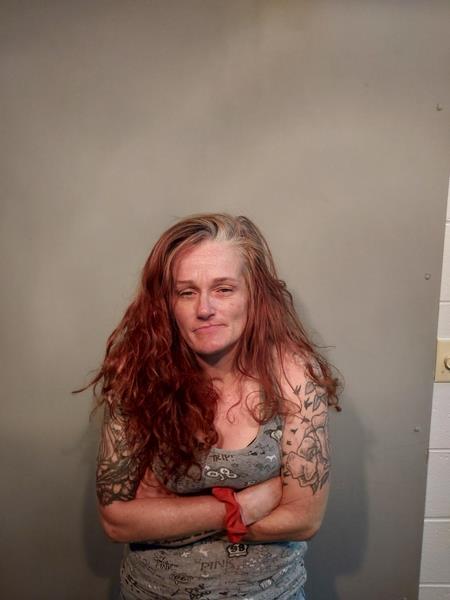 Mugshot of Heather Nicole Page booked in Scott County, Virginia on July 9, 2026