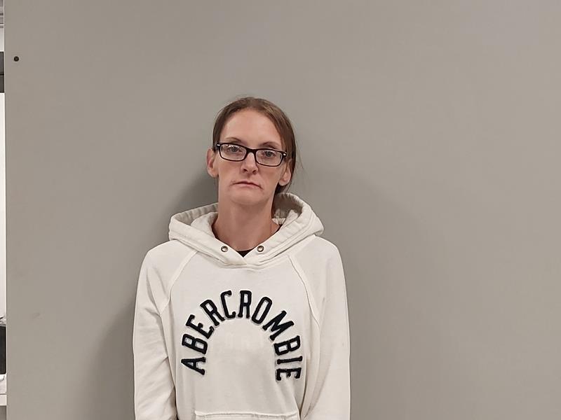 Mugshot of Jenny Ellen Wilson booked in Scott County, Virginia on October 26, 2026