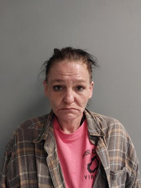 Mugshot of Liza Leann Davis booked in Scott County, Virginia on April 28, 2026