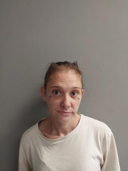 Mugshot of Mary E McClain booked in Scott County, Virginia on July 8, 2026