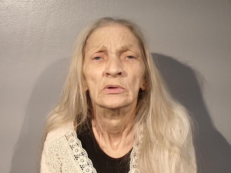 Mugshot of Rose Ellen Fleming