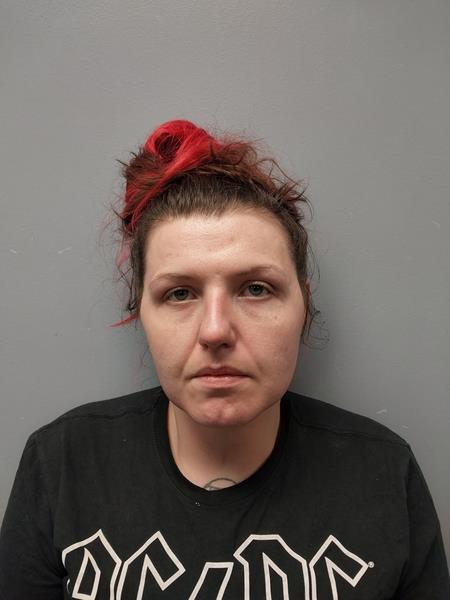 Mugshot of Shelby Renee Ball booked in Scott County, Virginia on April 17, 2026