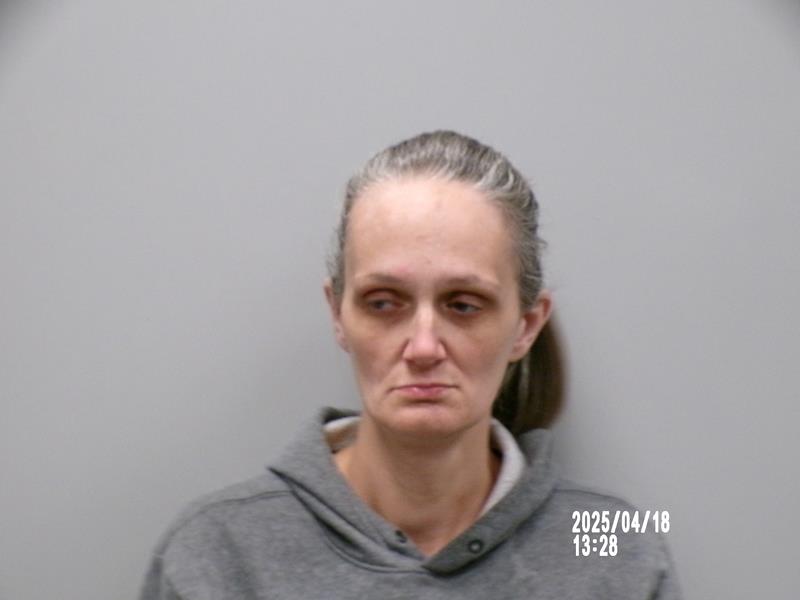 Mugshot of Stacy Lee Doane booked in Scott County, Virginia on April 20, 2026