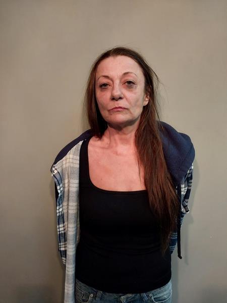 Mugshot of Sherrie Marie Wells