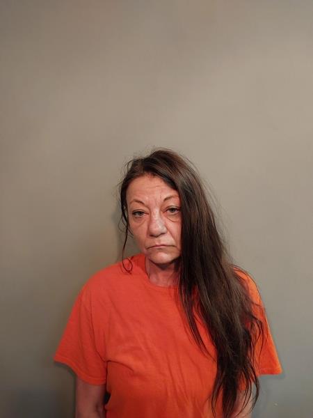 Mugshot of Sherrie Marie Wells booked in Scott County, Virginia on April 20, 2026