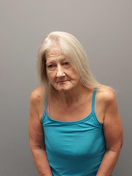 Mugshot of THERESA MARIE SHOWALTER booked in Scott County, Virginia on April 20, 2026