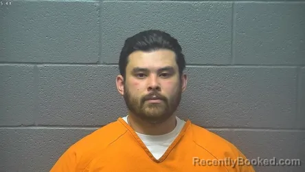 Mugshot of AARON VAN FERGUSON