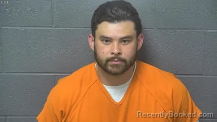 Mugshot of AARON VAN FERGUSON