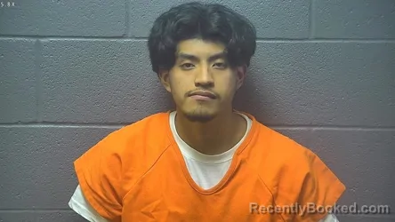 Mugshot of Arturo Nmn Perez-Castelan