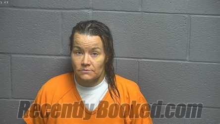 Booking photo from Shenandoah County, Virginia