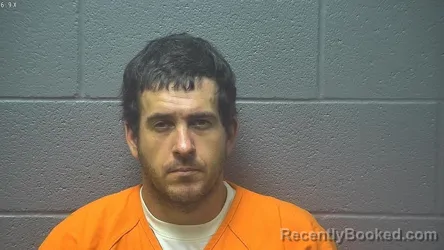 Mugshot of BRYAN MARTIN WHETZEL