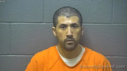 Mugshot of DAMESIS ENRIQUE MARTINEZ