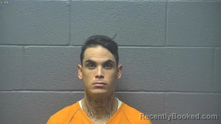 Mugshot of DUNCAN ANGUS NICOLL