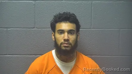 Mugshot of DIOMAR DIOMAR RAMOS GONZALES