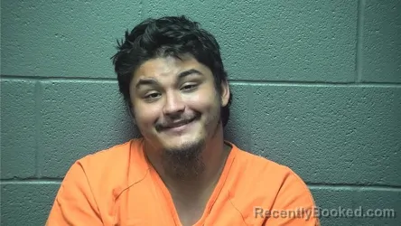 Mugshot of ELIJAH JOBE ROBERT SCHNEIDER booked in Shenandoah County, Virginia on July 29, 2026