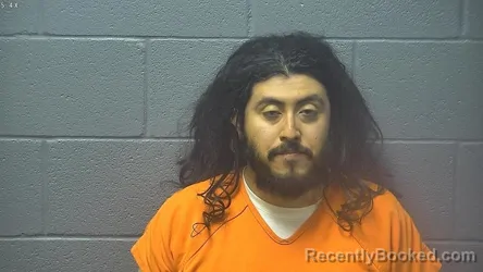 Mugshot of FRANCISCO APAEZ