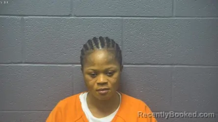 Mugshot of Henrietta Nmn Danso