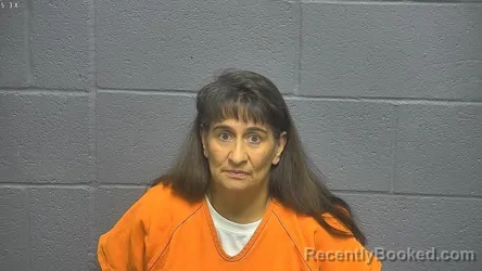 Mugshot of TAMMY LYNN FINK booked in Shenandoah County, Virginia on April 16, 2026