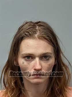 Booking photo from Smyth County, Virginia
