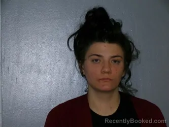 Mugshot of Abigail Sunshine Lucas booked in Smyth County, Virginia on March 20, 2026