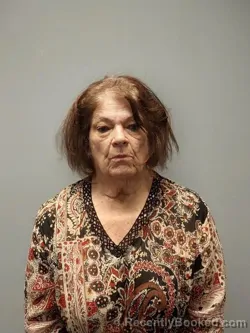 Mugshot of Aleda Lynn Nash booked in Smyth County, Virginia on July 1, 2026