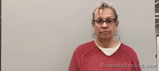 Mugshot of Anna Maria Viruet-North booked in Smyth County, Virginia on March 26, 2026