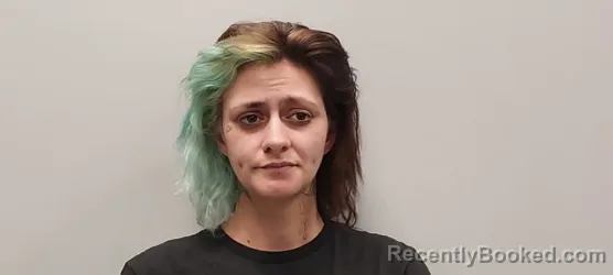 Mugshot of Alexis B Wade booked in Smyth County, Virginia on March 25, 2026