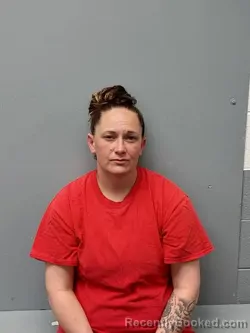 Booking photo from Smyth County, Virginia