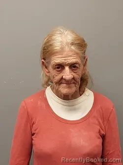 Mugshot of Barbara Sue Lambert booked in Smyth County, Virginia on September 11, 2026