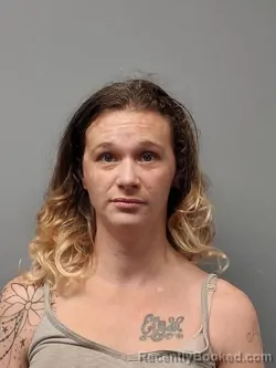 Mugshot of Chelsa Kaye Collier booked in Smyth County, Virginia on September 3, 2026