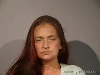 Mugshot of Clarissa Lynn Meadows booked in Smyth County, Virginia on March 30, 2026