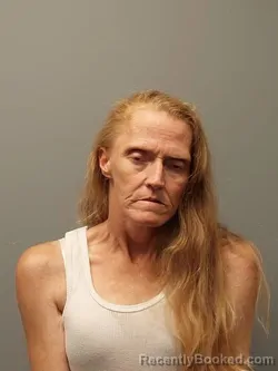 Mugshot of CHRISTINA BETH ROSE booked in Smyth County, Virginia on June 28, 2026