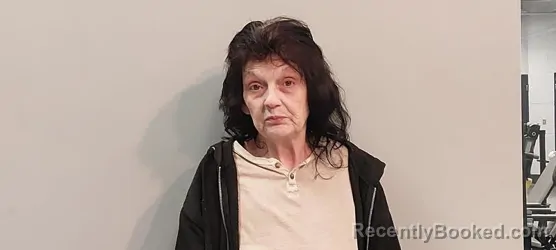 Mugshot of Christine Virginia Wood booked in Smyth County, Virginia on August 17, 2026