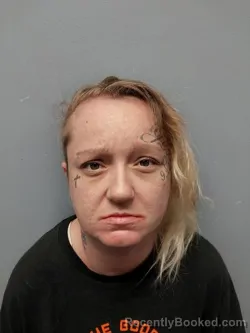 Mugshot of DARLENE BAKER booked in Smyth County, Virginia on July 2, 2026